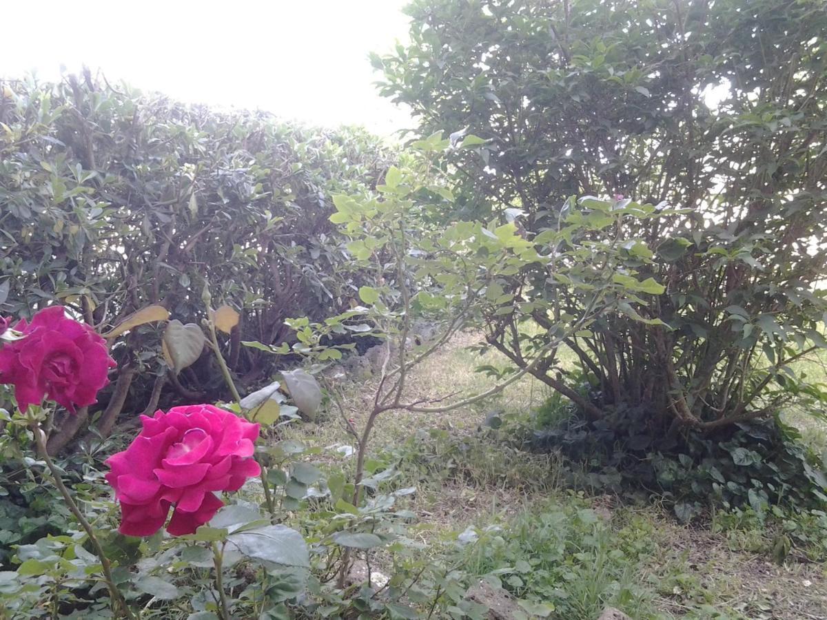 Casa Bindi Hotel Triana Luaran gambar